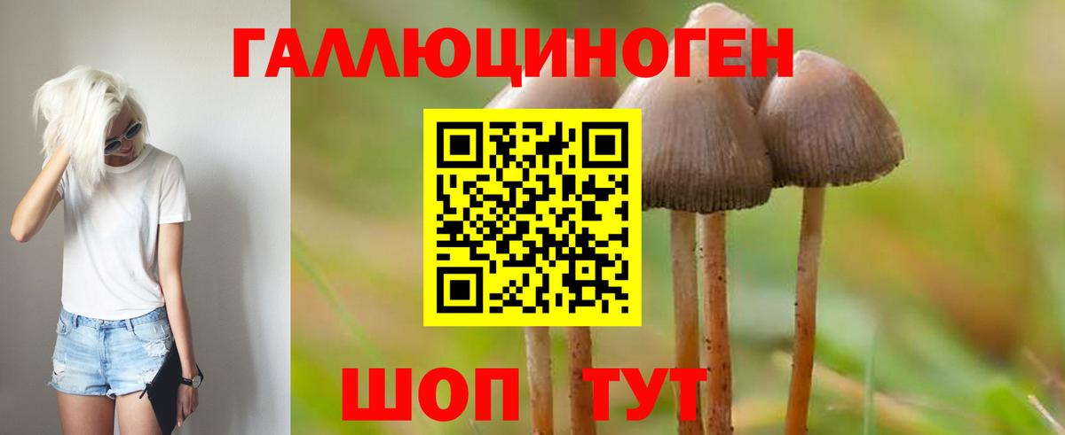Галлюциногенные грибы прущие грибы Учалы