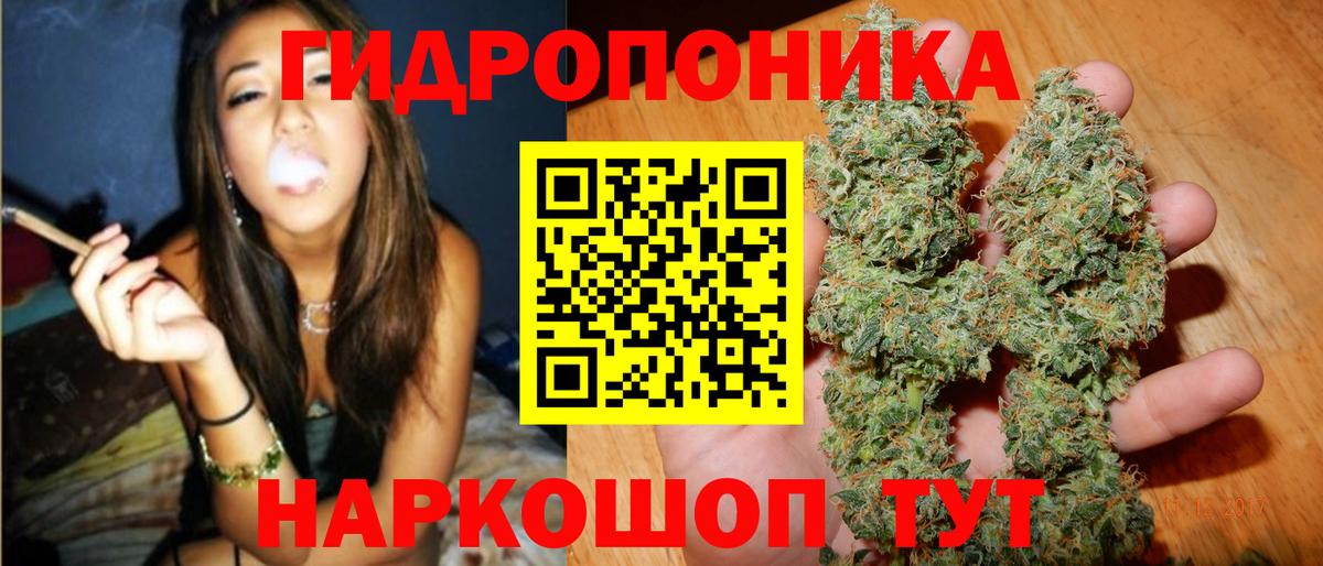 Конопля OG Kush Учалы